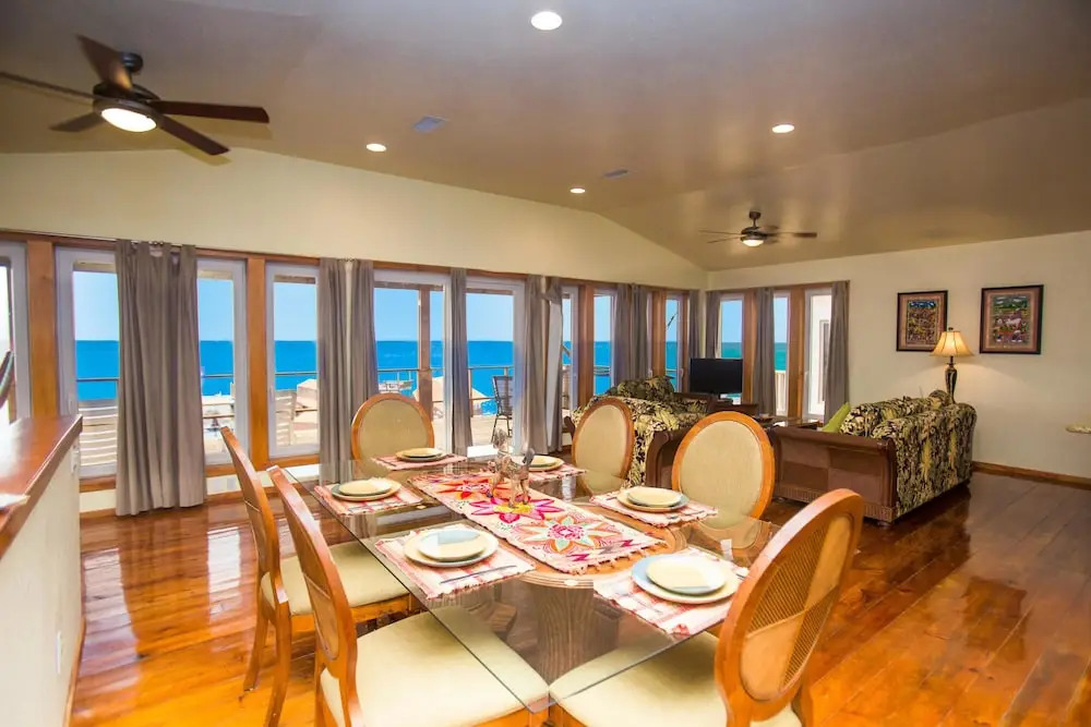 Turtle Casa 6