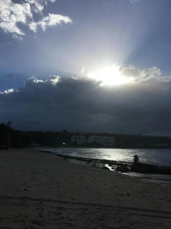 Paradise Island