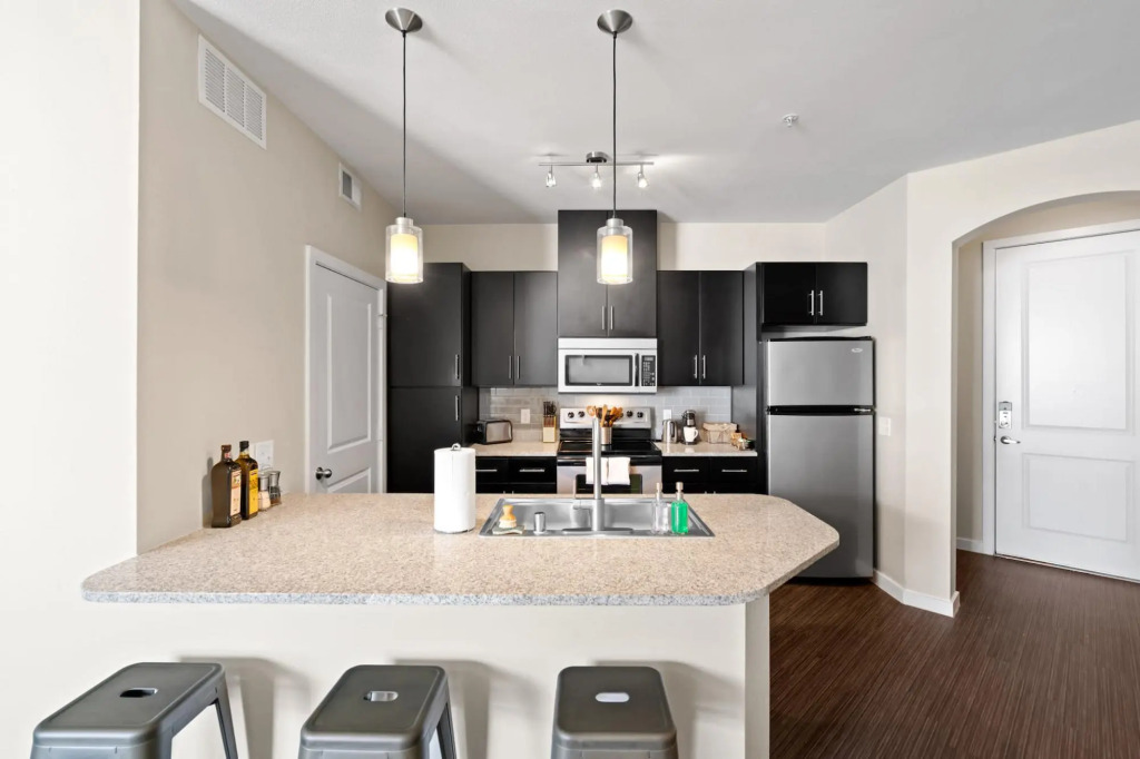 Dallas Beautiful 1BD 1BA Downtown Apartment