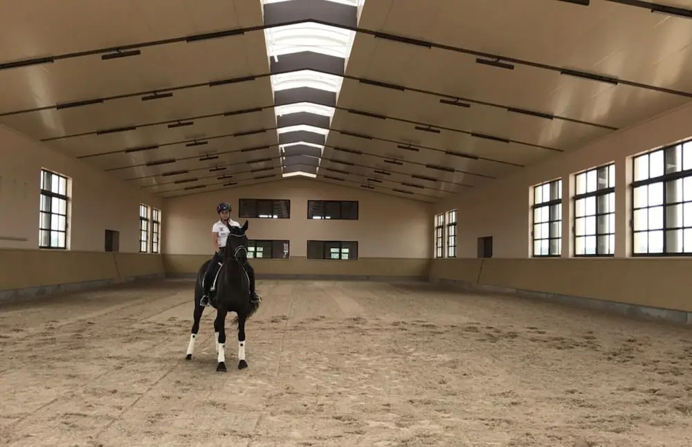 VMG Horse Ranch