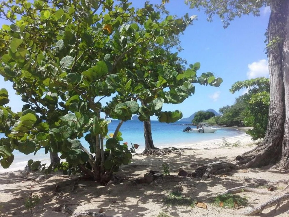 Apartment with 3 Bedrooms in Sainte-Luce, with Enclosed Garden And Wifi - 900 M From the Beach