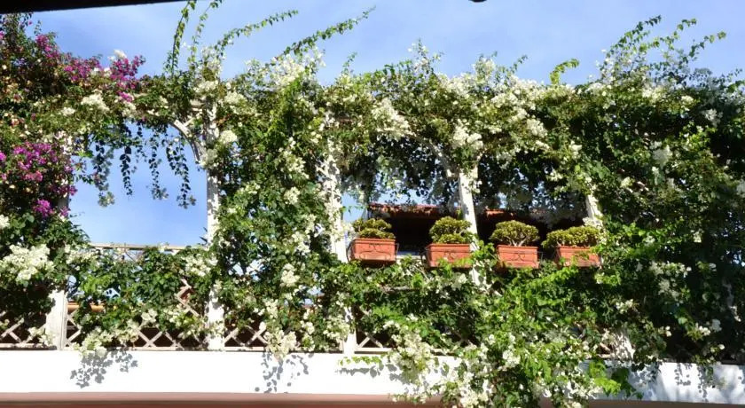 Belvedere