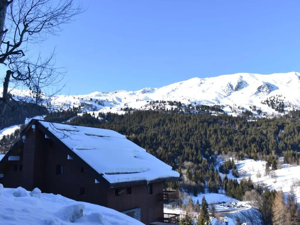 Appartement Méribel, 1 pièce, 4 personnes - FR-1-180-26
