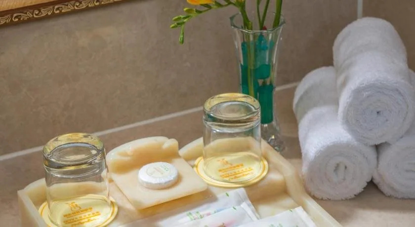 Vienna Hotel Tianjin Lingshijun