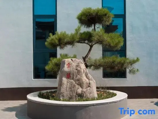 Yunzhu Homestay