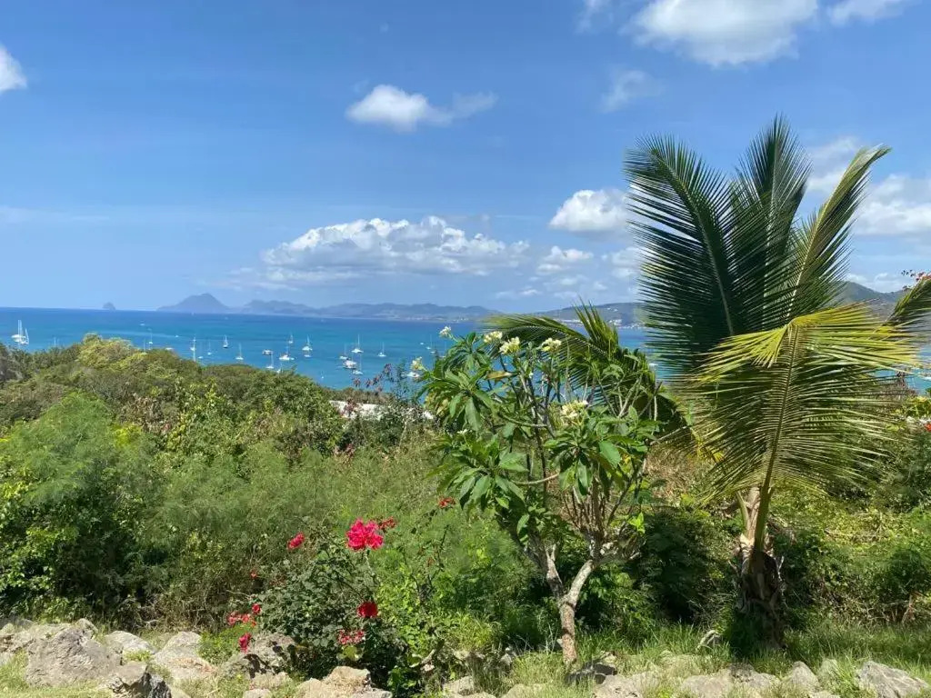 Superbe appartement vue sur mer