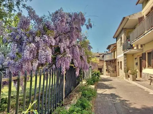 B&B TorreMatta