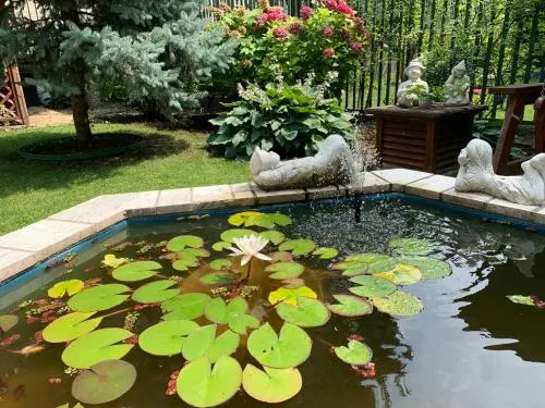 Hotel Arcus Garden