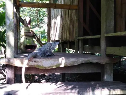 Casa Bambutan