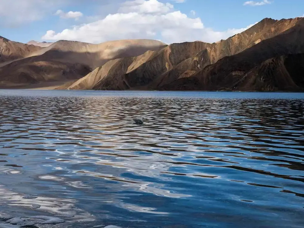 Alpine Cottage Pangong