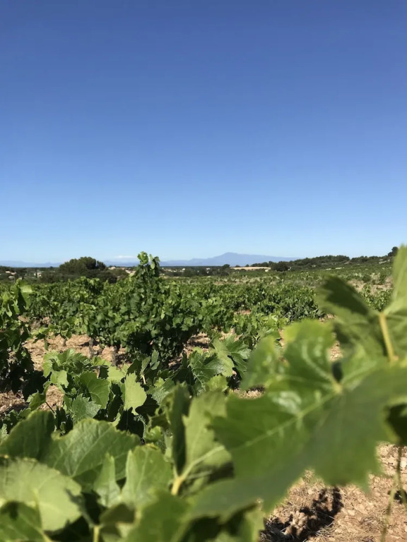Mas de l'Acacia