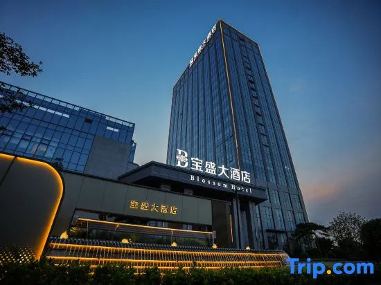 Ningyang Blossom Grand Hotel