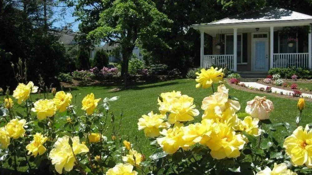 Trinkle Mansion Bed & Breakfast