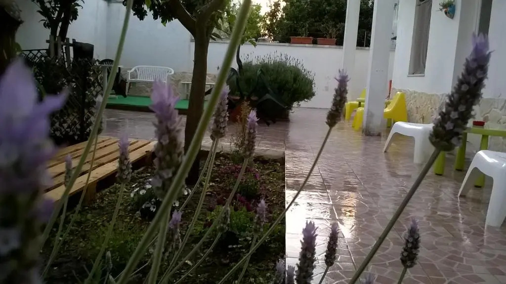 B&B Fenice Barocca