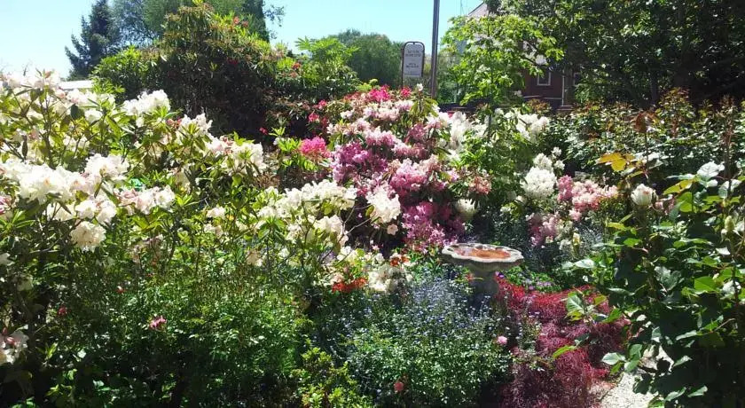 Sefton Homestay B&B