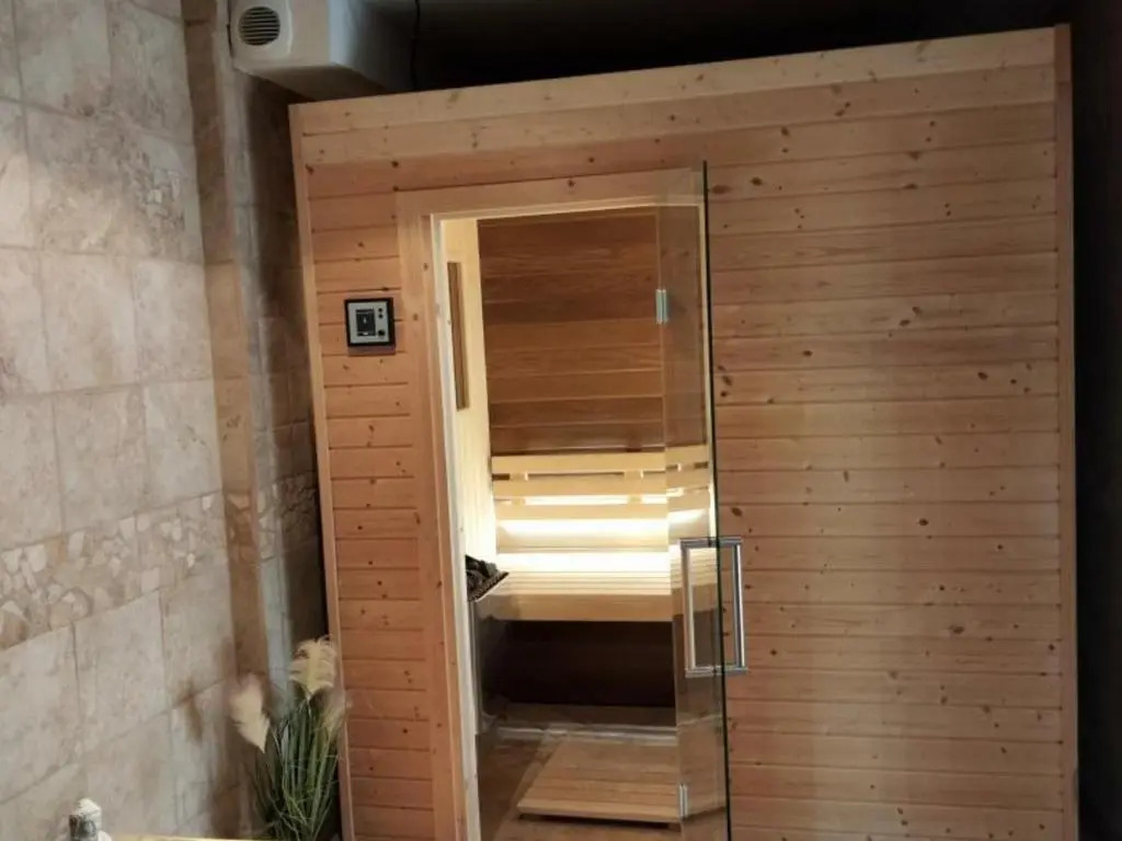 Gîte 3 chambres avec hammam, sauna et jacuzzi à Cellieu - FR-1-496-8
