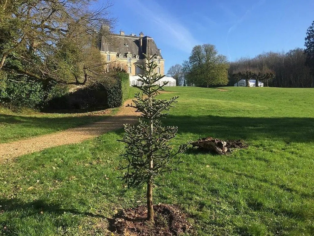 Château de Montbraye