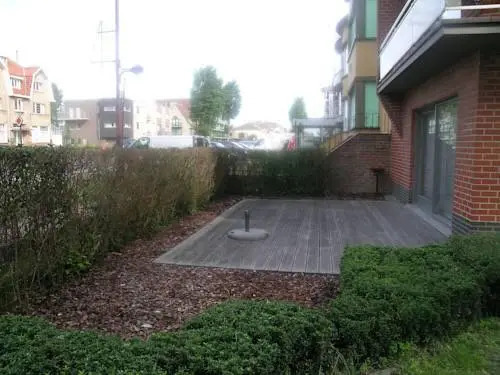 Zeegalm 00.01