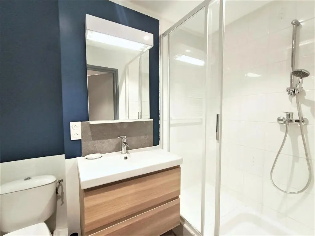 Appartement Aix-les-Bains, 2 pièces, 2 personnes - FR-1-555-47