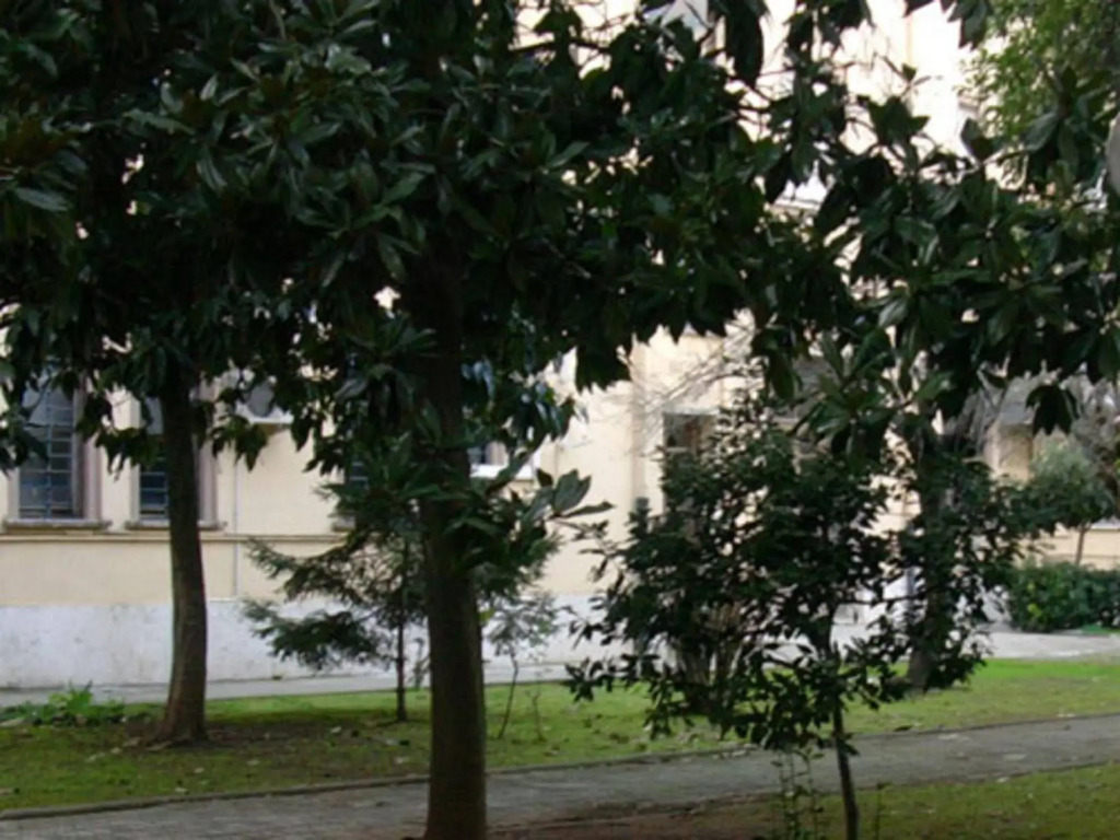 Albergo Bellavista