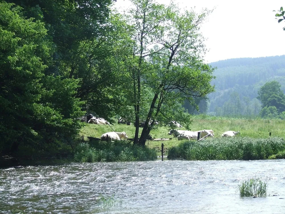 Relaxing Chalet in Dochamps With Swimming Pool and Terrace