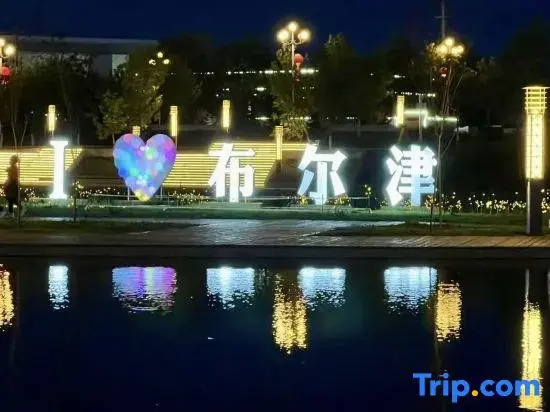 Yunyou Light Luxury Homestay (Burqin Branch)