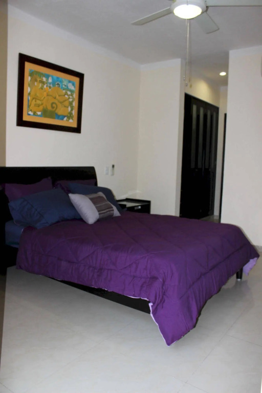 B&B Pelicanos