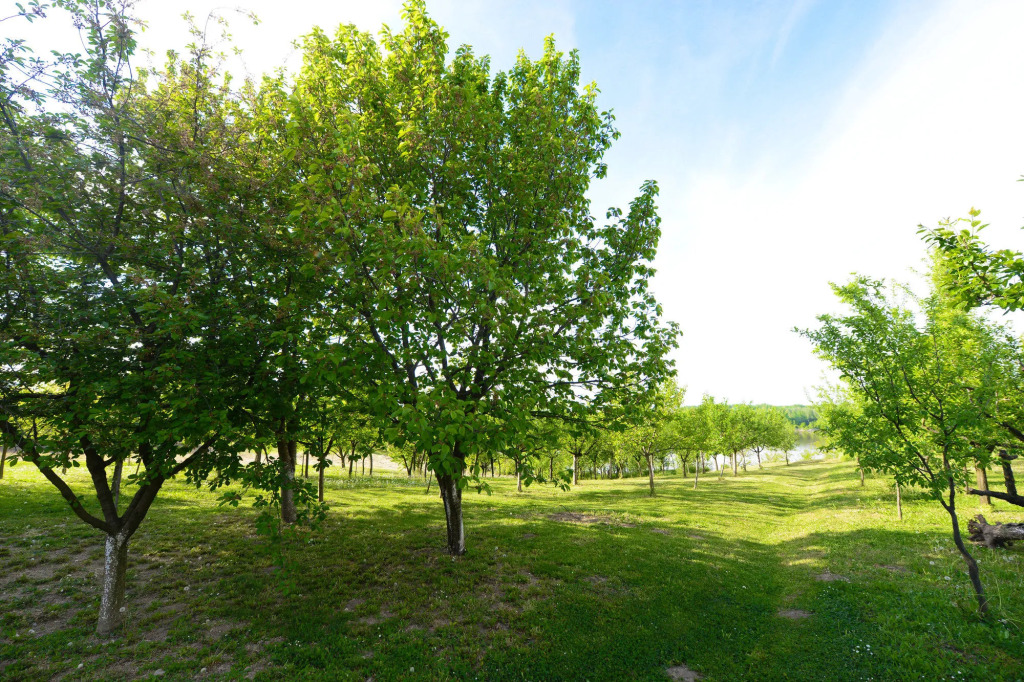 Villa Biser Dunava - Pool & River View