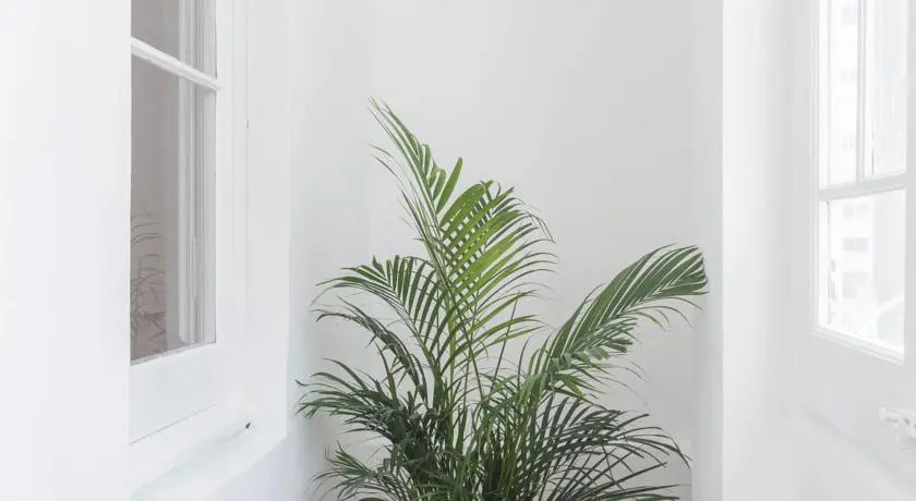 Apartment LoveBarcelona