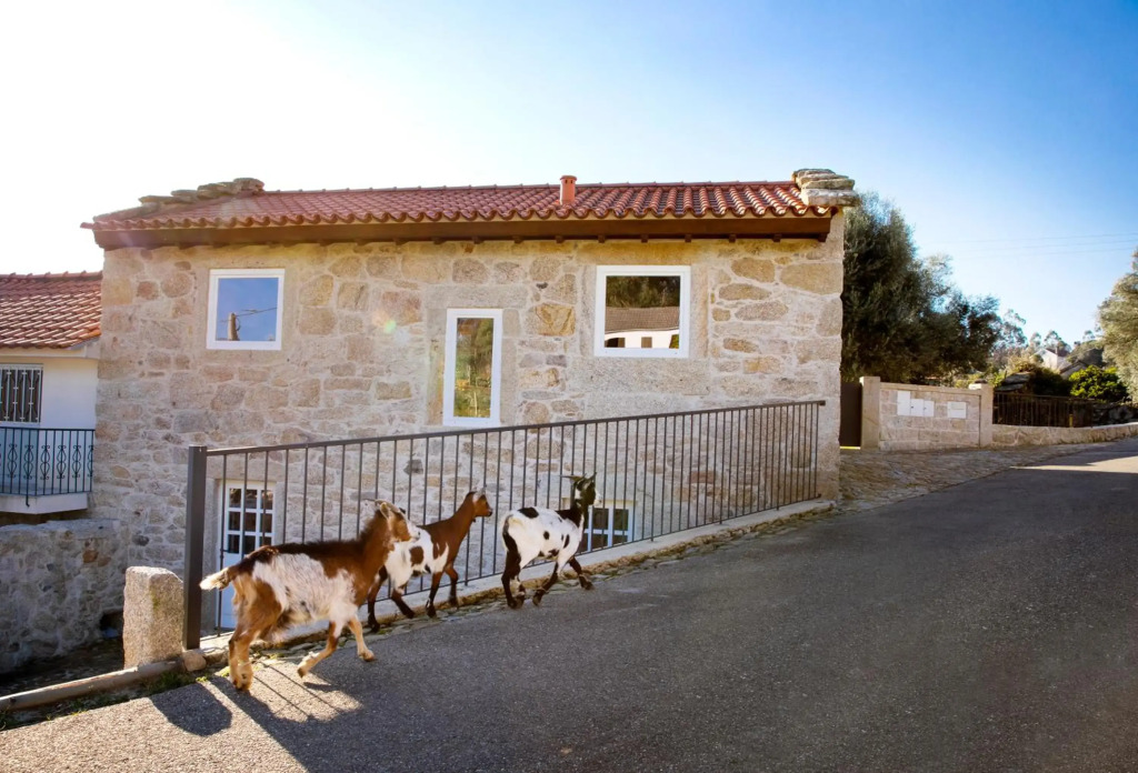 Tio Zé - Casas de Selim - T2