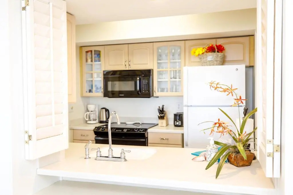 1313 Pelican Watch-Beach-Amenities - $299 June 20