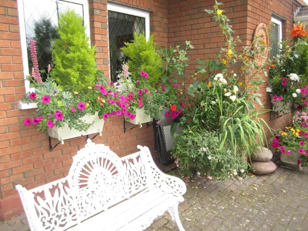 Killyon Guest House