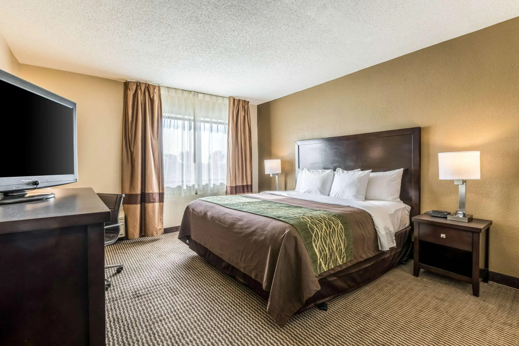 Comfort Inn Detroit Downtown