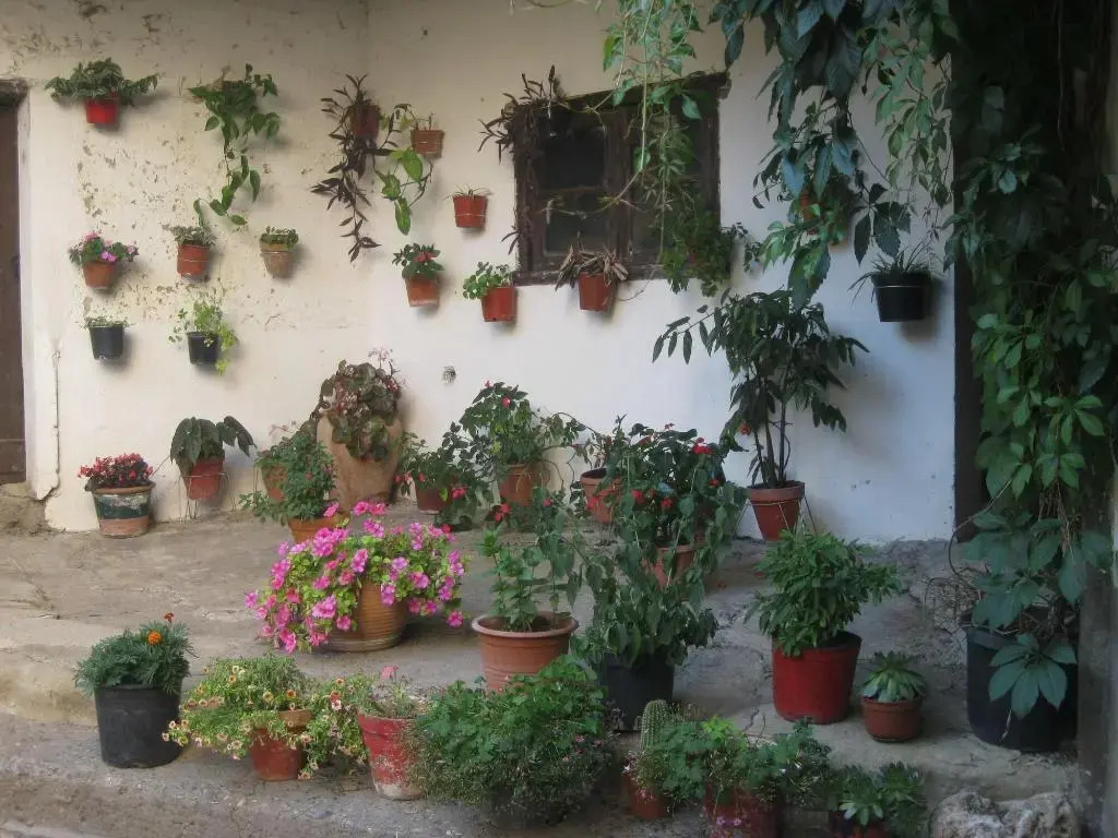 Pensión Peperillo