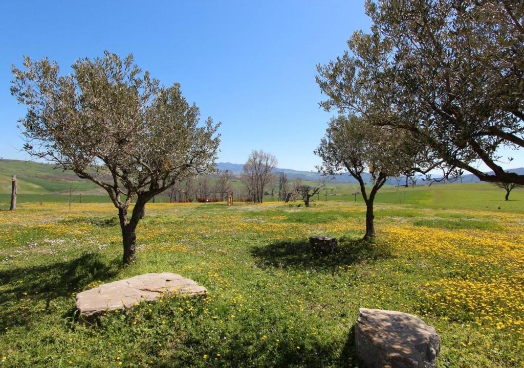 Dimora Schioppo - Irpinia