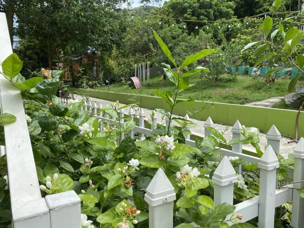 Windy Hill Catba Homestay