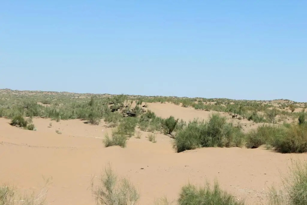 Riad Nur & Tours