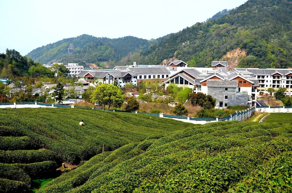 Yangming Springs and Spa Resort