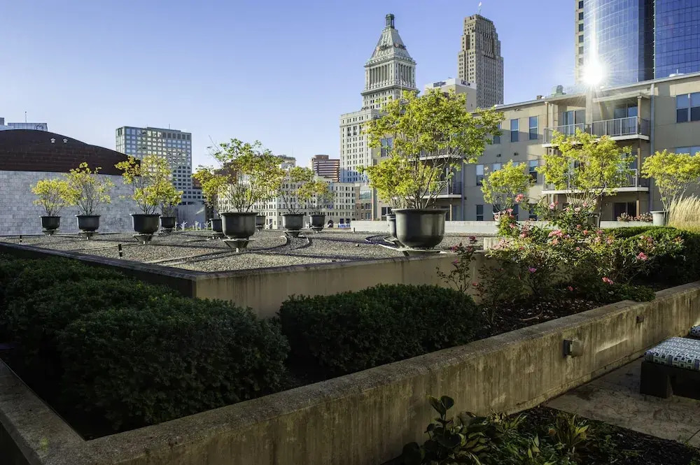 Guild Cincinnati - The Banks