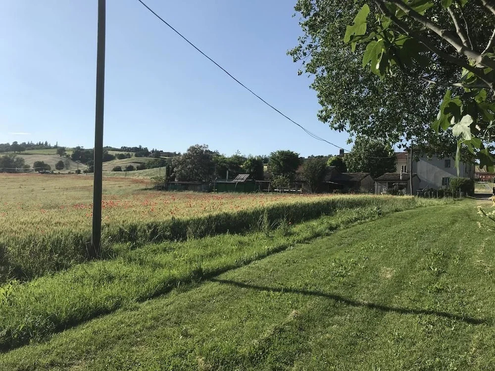 Tra i Campi Di Papaveri