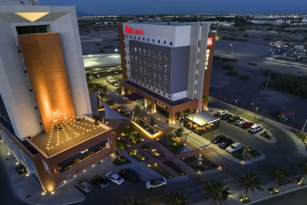 Ibis Torreon