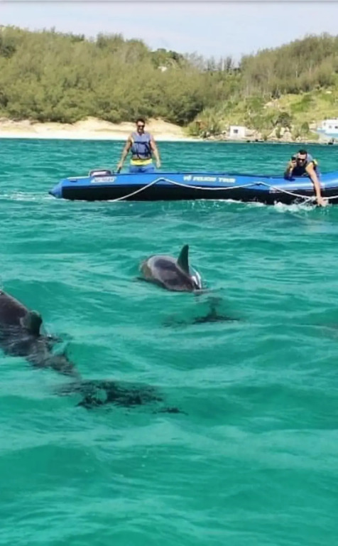 Aparts da Praia Grande 303