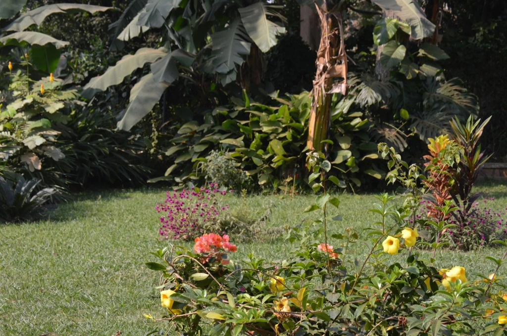 Colonial Residence