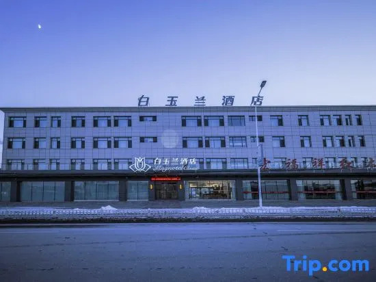 Magnotel Hotel (Tianjin Baodi Nanhuan Xi Road)