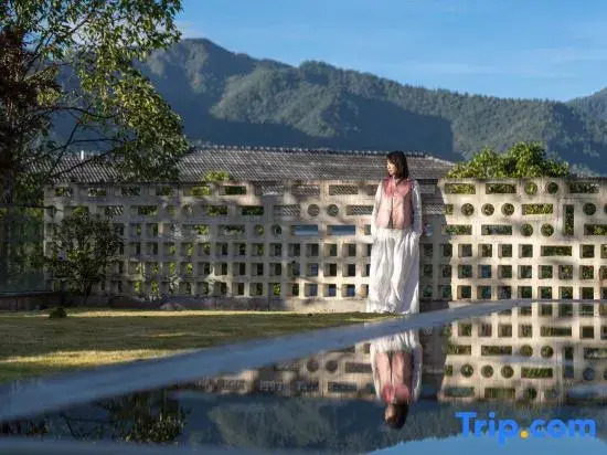 Wind Whispering Retreat • Mind-Body Rejuvenation •  Forest Villa  Hotel