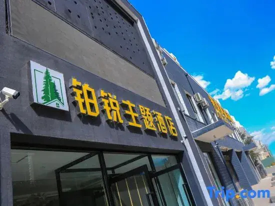 Datong Borui Theme Hotel