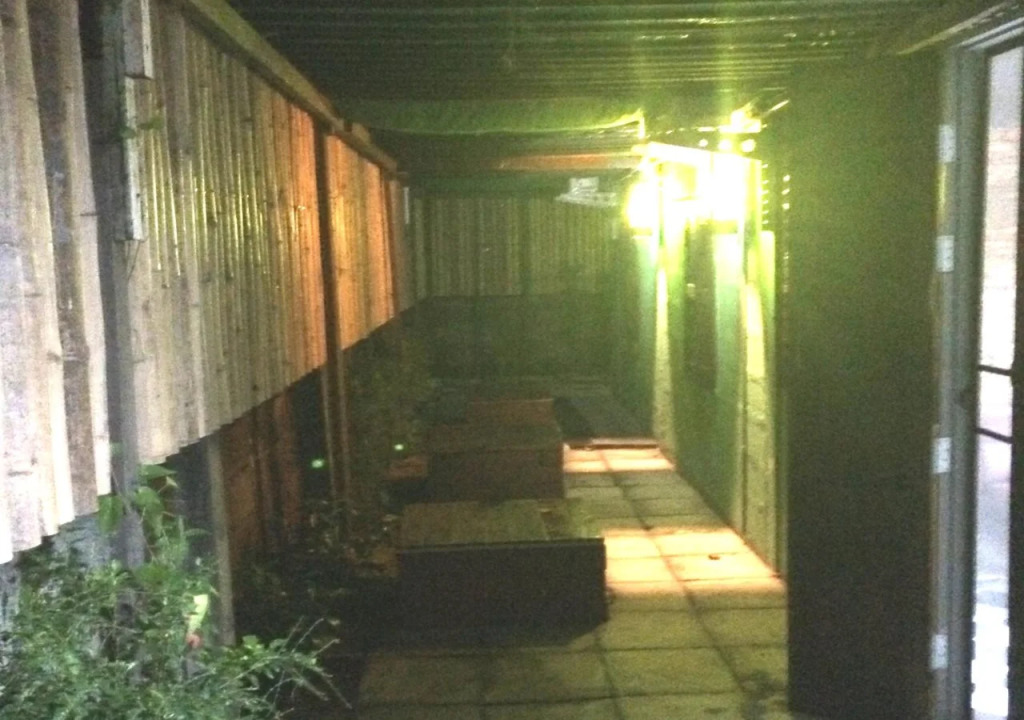 Green House Backpacker