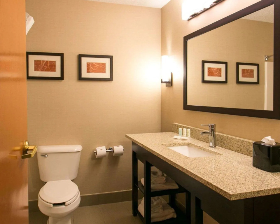 Comfort Suites Benton Harbor - St Joseph