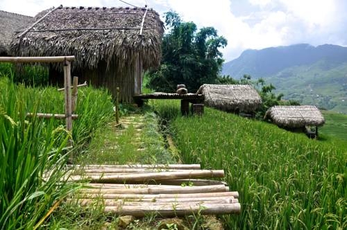 Hmong Mountain Retreat