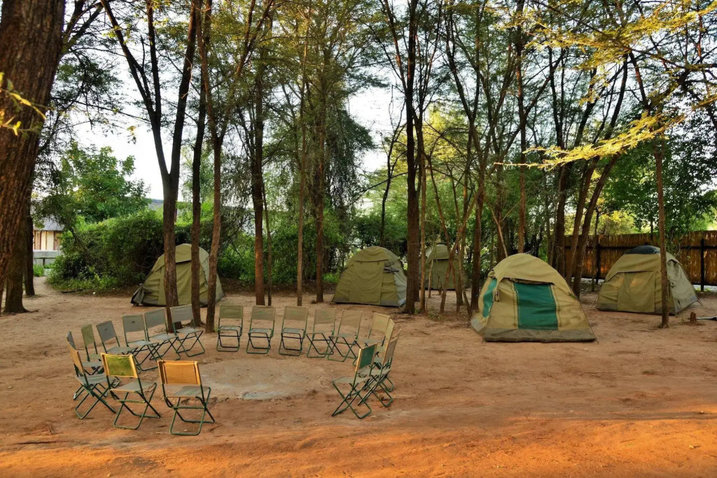 Thebe River Safaris